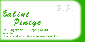 balint pintye business card